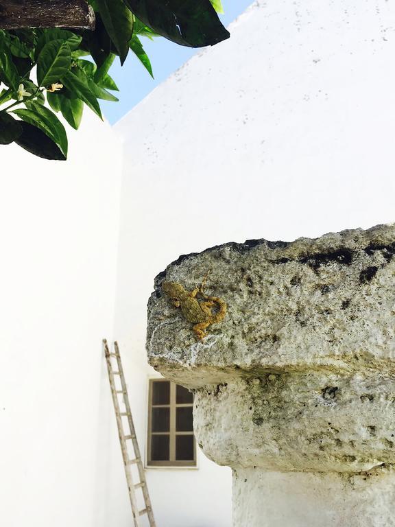 Residenza Celeste Alezio Dış mekan fotoğraf