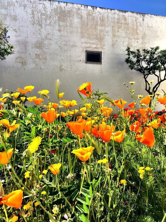 Residenza Celeste Alezio Dış mekan fotoğraf