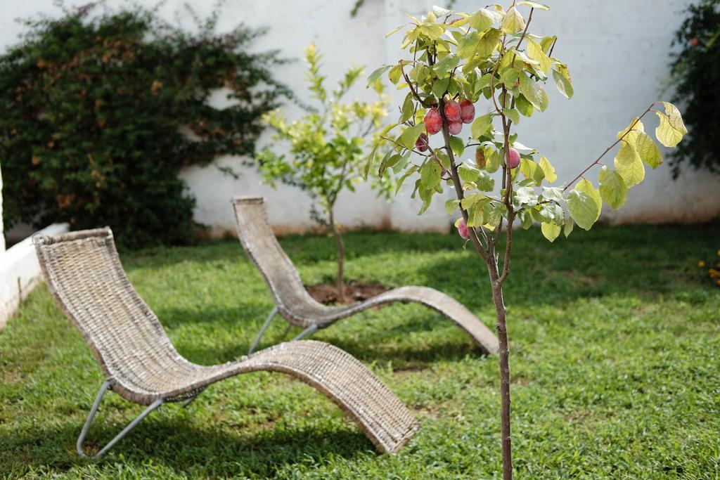 Residenza Celeste Alezio Dış mekan fotoğraf